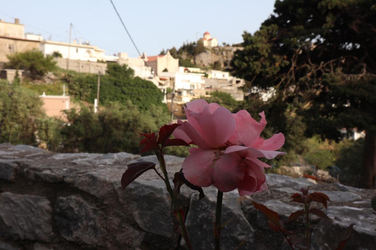 Petasos House - Garden - Sea View Villa Sellia  Bagian luar foto