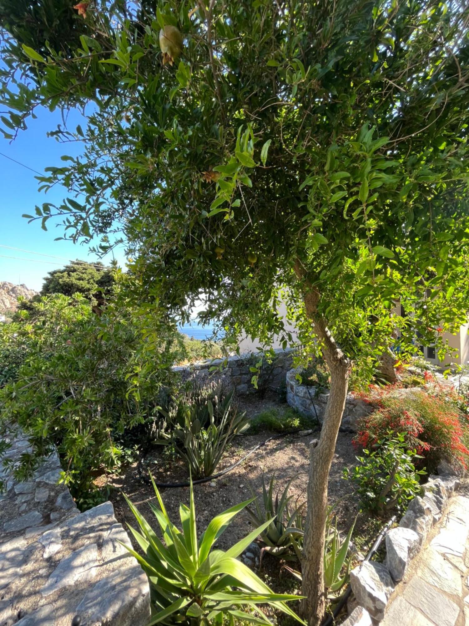 Petasos House - Garden - Sea View Villa Sellia  Bagian luar foto