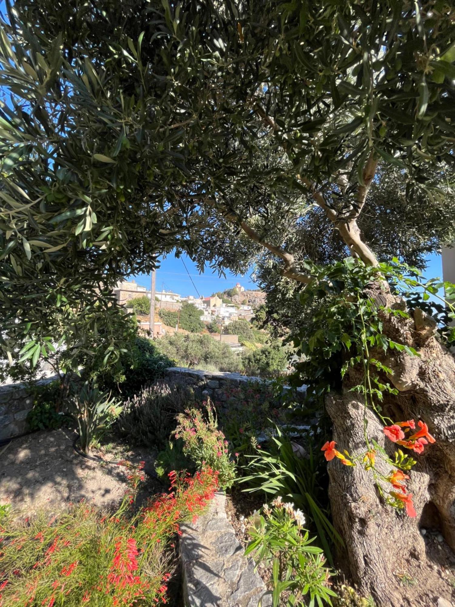 Petasos House - Garden - Sea View Villa Sellia  Bagian luar foto